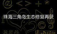 珠海三角岛生态修复再获国家级认可，二次入选海洋保护典型案例​