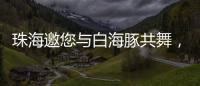 快排公司十年历程，霸屏兔 seo 的崛起与坚守