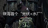 珠海首个“光伏+水厂”并网发电，打造绿色低碳新标杆