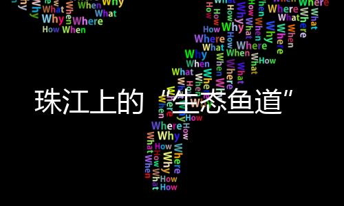 生态鱼道副坝过鱼通道