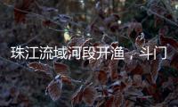 珠江流域河段开渔，斗门河鲜抢“鲜”上市