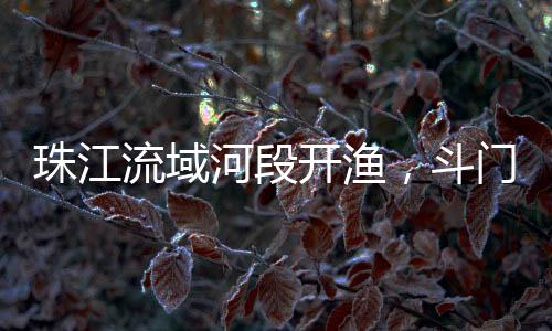 河段河鲜风味清甜独特
