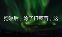 狗咬后
，除了打疫苗，这些问题容易被忽视