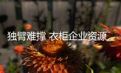 凸显品牌联盟的营销优势