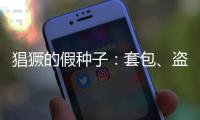 猖獗的假种子：套包、盗取、打假