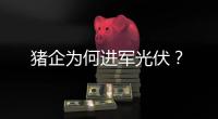 猪企为何进军光伏
？