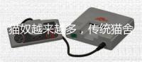 快排公司十年历程，霸屏兔 seo 的崛起与坚守