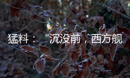 以色列总理奥尔默特