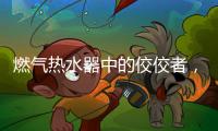 燃气热水器中的佼佼者�，用先进技术解决洗浴烦恼