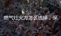 燃气灶火力怎么选择�，保留营养还成就美味!