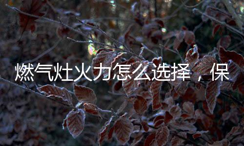 养还进一步高效加热
