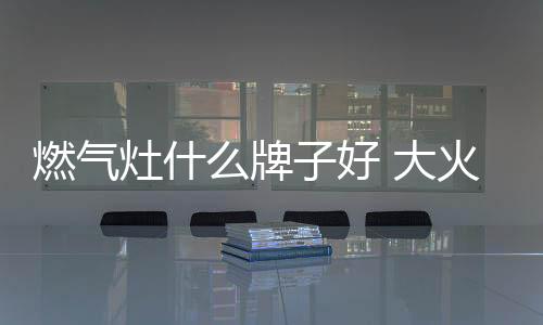 此外这款燃气灶还有无级调节