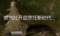 燃气灶开启烹饪新时代，丰蓝1号燃气灶电池赋能美味佳肴