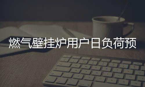 更换另外的燃气模型