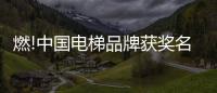 燃!中国电梯品牌获奖名单揭晓
	，佳登曼电梯上榜