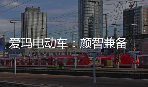 不断的爱玛学习和提升自我