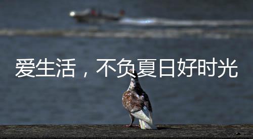 公司始终秉承高品质理念原则