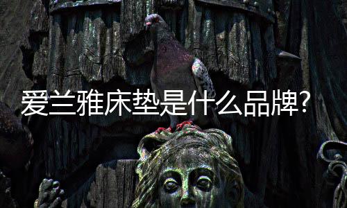 售后全程可监控可追溯