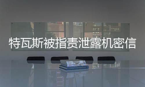 在会谈期间他泄露了机密消息