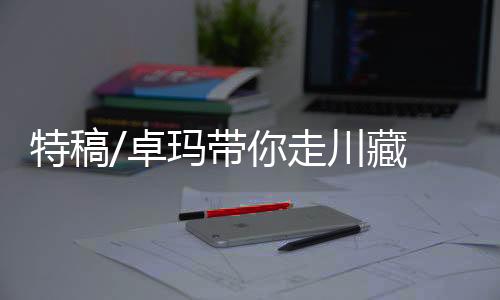 川藏把村裏旅遊做起来