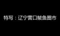 特写：辽宁营口鲅鱼圈市民以积极心态面对疫情