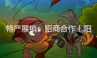 特产展销、招商合作！阳西把商务服务中心建在斗门