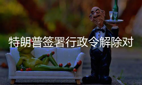 叙利亚局势发生剧变