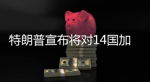南非和波黑将被征收30%的关税