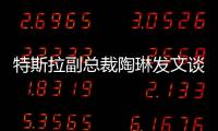 特斯拉副总裁陶琳发文谈“刹车门”：坚持做正确的事情
，剩下的交给时间