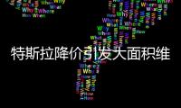 特斯拉降价引发大面积维权：“价格屠刀”究竟砍向了谁？