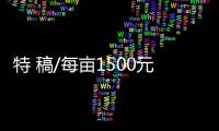特 稿/每亩1500元收购：谁在高价割青麦转饲料？