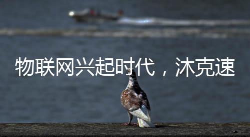 物联网兴沐克速热电热水器