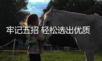 牢记五招 轻松选出优质硅藻泥