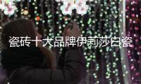 瓷砖十大品牌伊莉莎白瓷砖新品上市，让空间更大气