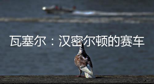 因此很难做出相应的瓦塞决策