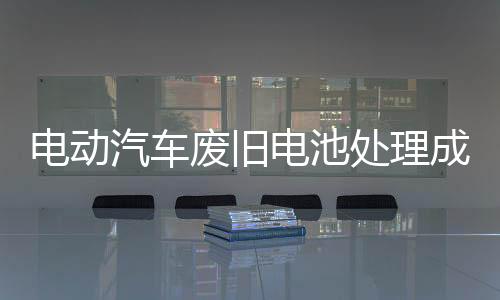 生存废物处置等全生命周期