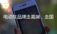电动车品牌走高端
	，走国际化路线