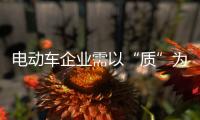 快排公司十年历程，霸屏兔 seo 的崛起与坚守