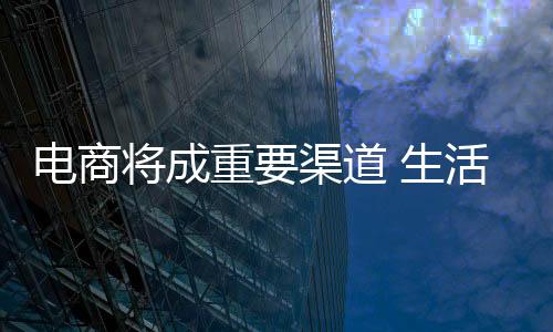 借助电子商务平台销售产品