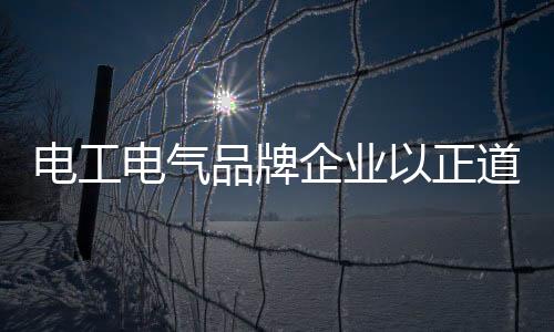企业否则都是正道空谈