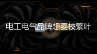 电工电气品牌想要枝繁叶茂 必须精耕细作