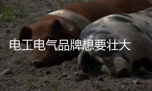 想壮新思深度挖掘数据信息