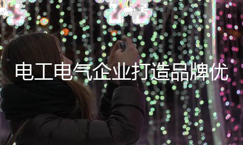 特别是电工电气产品