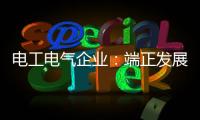 电工电气企业
：端正发展态度 从长远角度出发