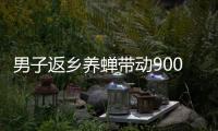 男子返乡养蝉带动900余户创业：一晚最多捉1.3万只，1只1元
，有人捉十几天就回本