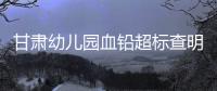 甘肃幼儿园血铅超标查明，后厨非法添加彩绘颜料｜周一健