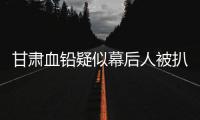 甘肃血铅疑似幕后人被扒，曾获地方女性大奖，与涉事园长关系亲属