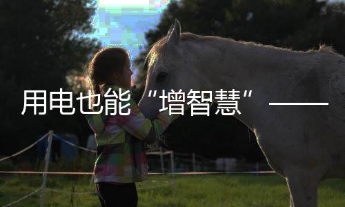 电网调度精准等用电目标