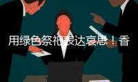 用绿色祭祀表达哀思	！香洲多个镇街社区开展文明祭扫活动