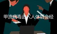 甲流病毒进入人体后会经历什么？